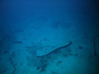 Unidentified wreckage on seabed